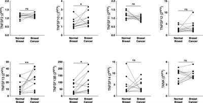 Breast Density and Estradiol Are Major Determinants for Soluble TNF-TNF-R Proteins in vivo in Human Breast Tissue